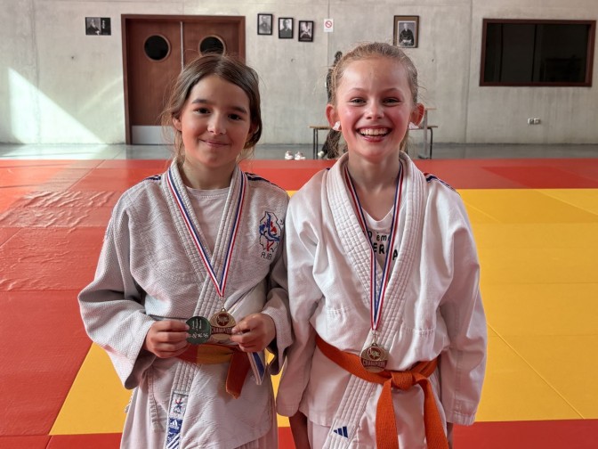 Image de l'actu 'Résultats Petits Tigres, tournoi en Autriche et Shiaï à Epinal'