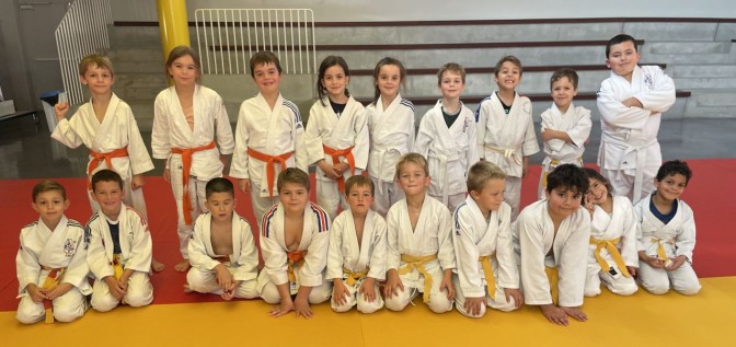 Image de l'actu 'Stage mini-poussins et poussins'