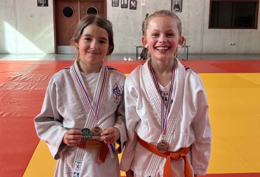 Résultats Petits Tigres, tournoi en Autriche et Shiaï à Epinal