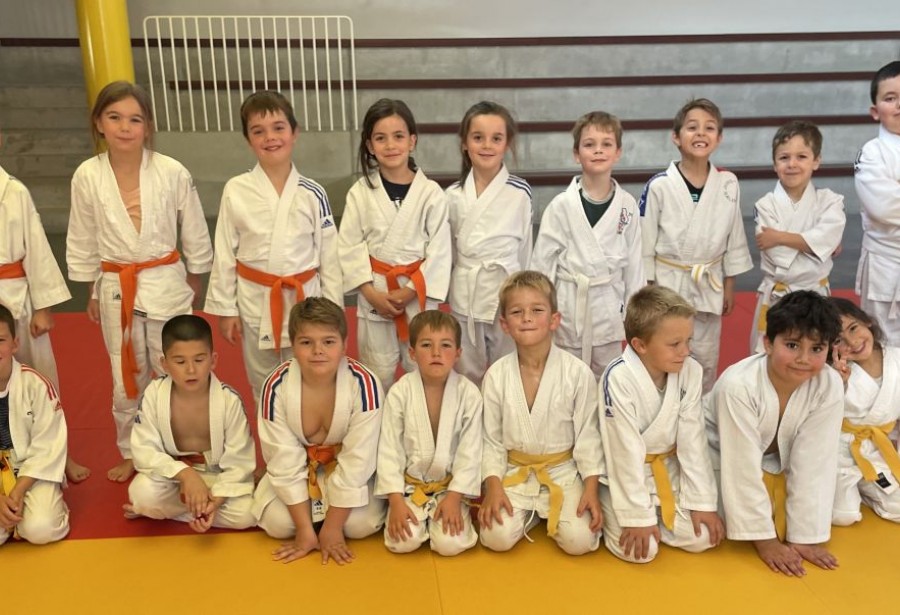 Stage mini-poussins et poussins